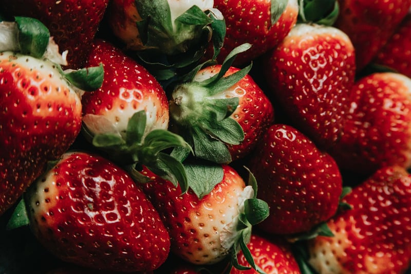 Vertical Strawberry Planter